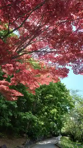 相馬神社の自然