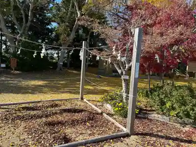 白子神社の{uncategorized: "未分類", other: "その他", undefined: "問題あり", building: "その他建物", grave: "お墓", sacred_gate: "鳥居", guardian: "狛犬", statue: "像", buddha: "仏像", history: "歴史", nature: "自然", garden: "庭園", animal: "動物", pagoda: "塔", temizu: "手水舎", mountain_gate: "山門・神門", sanctuary: "本殿・本堂", subordinate: "末社・摂社", art: "芸術", scenery: "景色", jizo: "地蔵", ema: "絵馬", goshuin: "御朱印", omikuji: "おみくじ", items: "授与品その他", amulet: "お守り", goshuincho: "御朱印帳", eats: "食事", festival: "お祭り", votive_dance: "神楽", shichigosan: "七五三参", wedding: "結婚式", experience: "体験その他", initially: "初詣", around: "周辺", anti_infection: "感染症対策"}