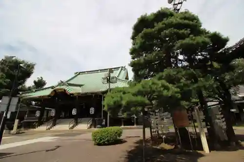 妙法寺の本殿・本堂