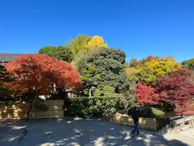 出水神社(熊本県)