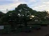 箭弓稲荷神社の庭園