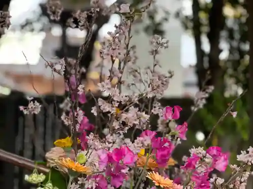 富知六所浅間神社の自然
