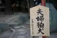 浅草神社のその他建物