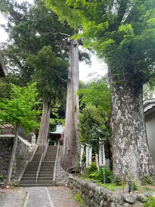 日枝神社(静岡県)
