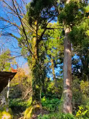 諏訪神社(新潟県)