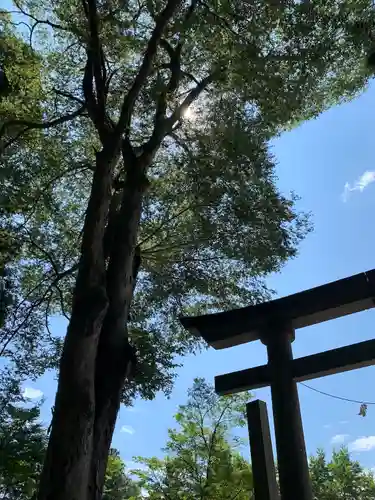 都々古別神社(八槻)のその他建物