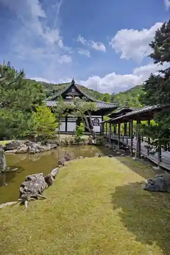 高台寺（高台寿聖禅寺・高臺寺）(京都府)