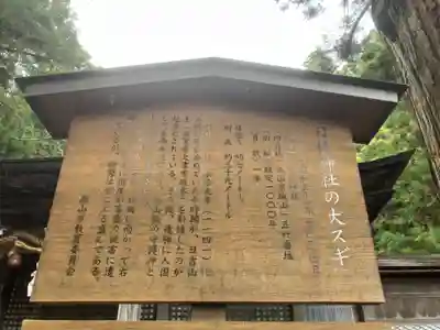 日枝神社(岐阜県)