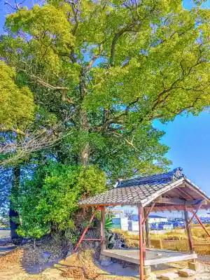 白山社の本殿・本堂