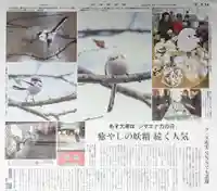 帯廣神社の動物