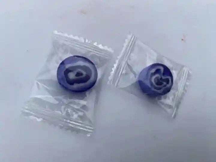 大智院(清水寺大智院)(愛知県)