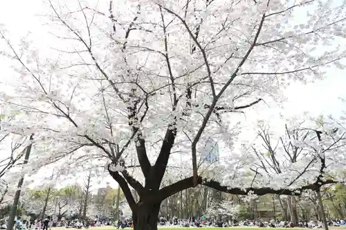 熊野神社(東京都)