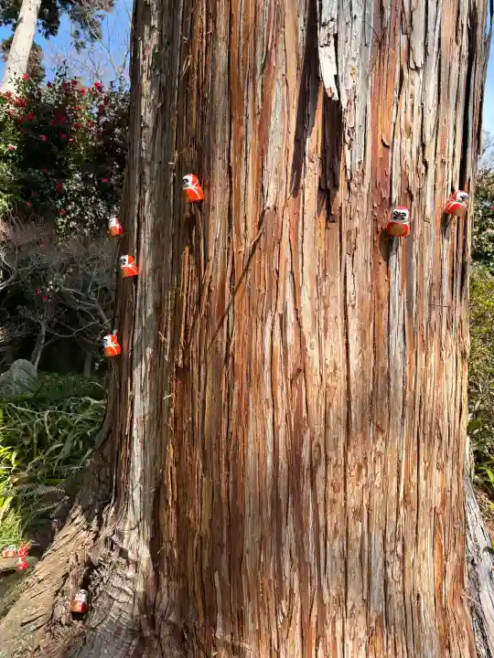 勝尾寺の{uncategorized: "未分類", other: "その他", undefined: "問題あり", building: "その他建物", grave: "お墓", sacred_gate: "鳥居", guardian: "狛犬", statue: "像", buddha: "仏像", history: "歴史", nature: "自然", garden: "庭園", animal: "動物", pagoda: "塔", temizu: "手水舎", mountain_gate: "山門・神門", sanctuary: "本殿・本堂", subordinate: "末社・摂社", art: "芸術", scenery: "景色", jizo: "地蔵", ema: "絵馬", goshuin: "御朱印", omikuji: "おみくじ", items: "授与品その他", amulet: "お守り", goshuincho: "御朱印帳", eats: "食事", festival: "お祭り", votive_dance: "神楽", shichigosan: "七五三参", wedding: "結婚式", experience: "体験その他", initially: "初詣", around: "周辺", anti_infection: "感染症対策"}