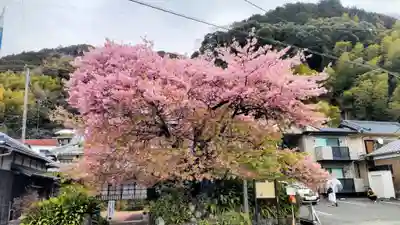 川津来宮神社(静岡県)