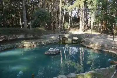 大麻比古神社(徳島県)