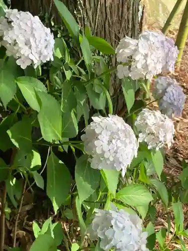 円城寺(長野県)