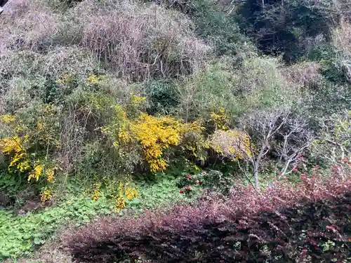 来迎寺（西御門）(神奈川県)