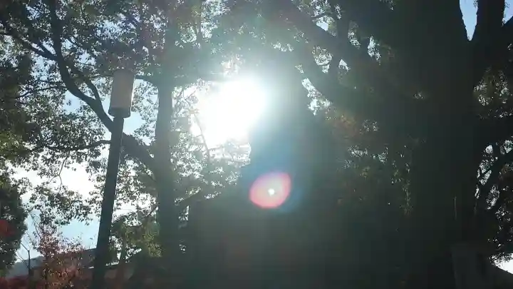 八坂神社(祇園さん)(京都府)
