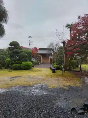 東円寺の庭園