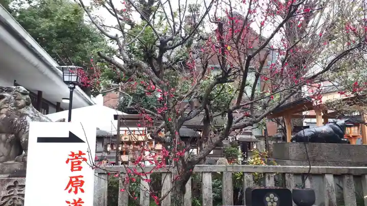 菅原院天満宮神社の自然