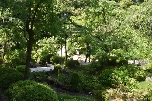 平安神宮の庭園