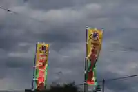 隠津島神社の体験その他