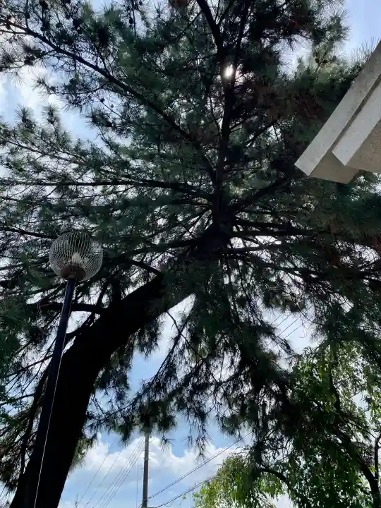 八坂神社(東京都)