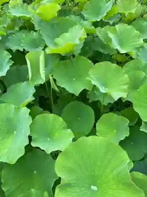 法華寺(奈良県)
