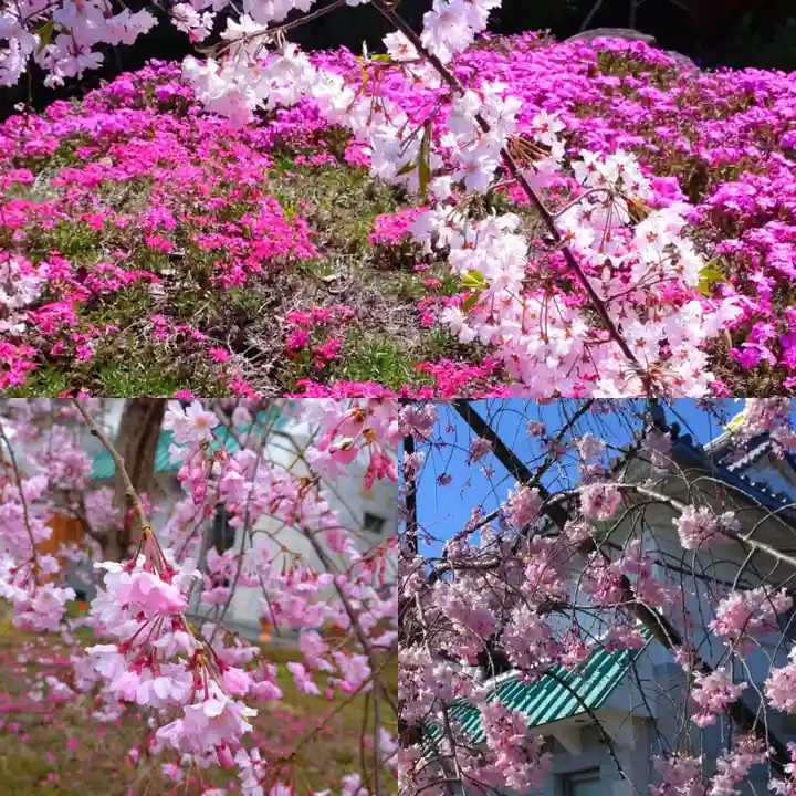 寿量山 速成寺の自然