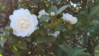 光悦寺(京都府)