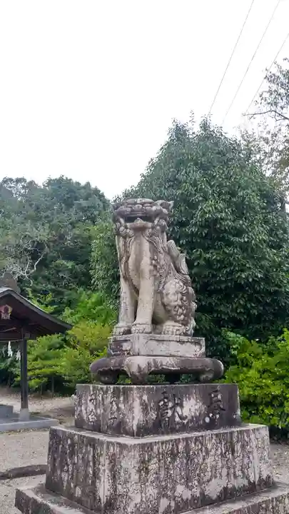 大隅神社の狛犬