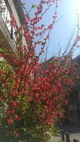 長禅寺(茨城県)