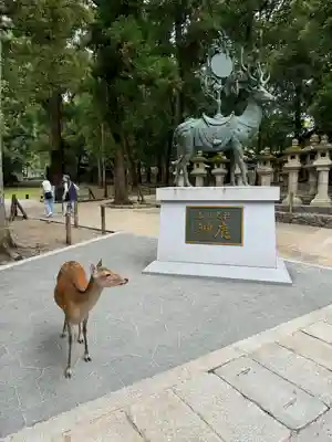 春日大社(奈良県)