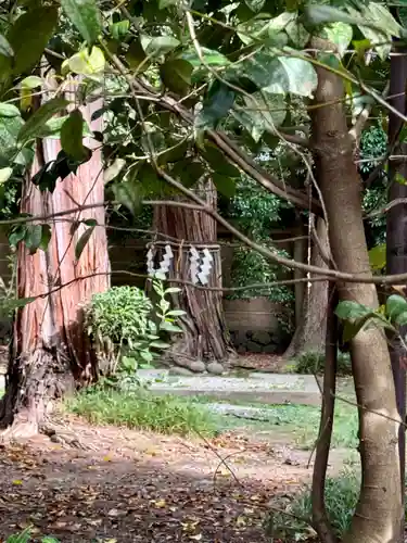 梅宮大社(京都府)