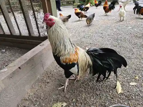 石上神宮(奈良県)