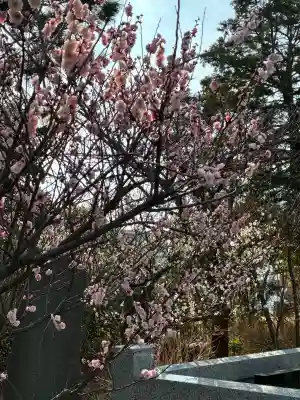 日枝天満宮の{uncategorized: "未分類", other: "その他", undefined: "問題あり", building: "その他建物", grave: "お墓", sacred_gate: "鳥居", guardian: "狛犬", statue: "像", buddha: "仏像", history: "歴史", nature: "自然", garden: "庭園", animal: "動物", pagoda: "塔", temizu: "手水舎", mountain_gate: "山門・神門", sanctuary: "本殿・本堂", subordinate: "末社・摂社", art: "芸術", scenery: "景色", jizo: "地蔵", ema: "絵馬", goshuin: "御朱印", omikuji: "おみくじ", items: "授与品その他", amulet: "お守り", goshuincho: "御朱印帳", eats: "食事", festival: "お祭り", votive_dance: "神楽", shichigosan: "七五三参", wedding: "結婚式", experience: "体験その他", initially: "初詣", around: "周辺", anti_infection: "感染症対策"}