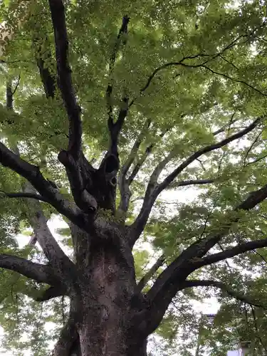 神明宮のその他建物