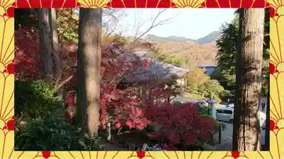 崇禅寺(群馬県)
