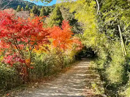 荒神山神社遥拝殿(滋賀県)