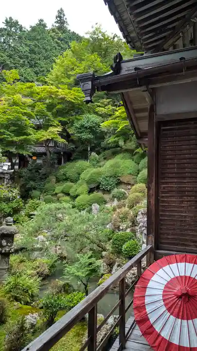 柳谷観音 楊谷寺(京都府)