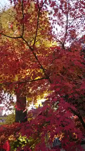 蛇窪神社の自然
