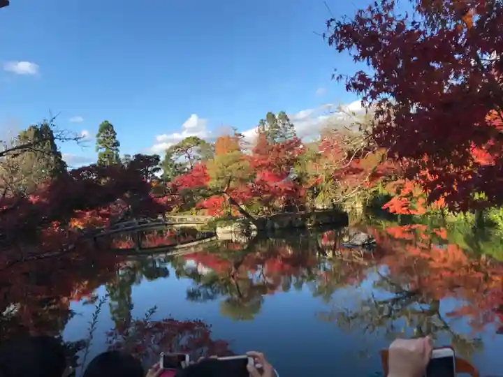 禅林寺(永観堂)の自然