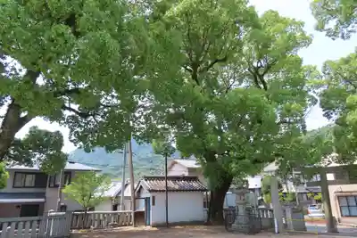 八岩華神社の自然