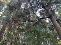 大宮温泉神社(栃木県)