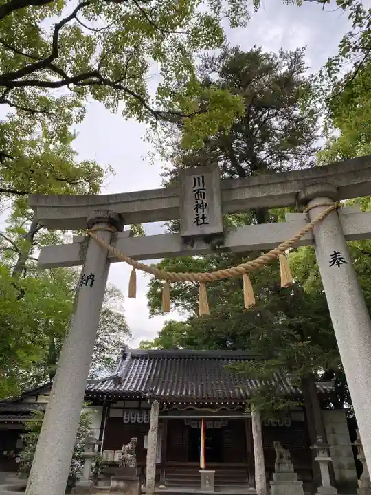 川面神社の鳥居