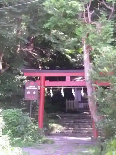 新宮神社（今宮）の鳥居