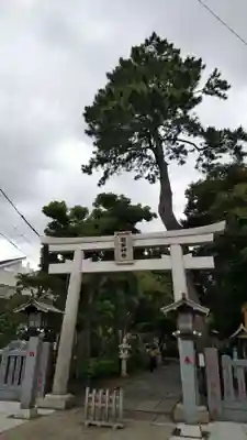 菊田神社の鳥居