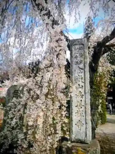 法善寺の{uncategorized: "未分類", other: "その他", undefined: "問題あり", building: "その他建物", grave: "お墓", sacred_gate: "鳥居", guardian: "狛犬", statue: "像", buddha: "仏像", history: "歴史", nature: "自然", garden: "庭園", animal: "動物", pagoda: "塔", temizu: "手水舎", mountain_gate: "山門・神門", sanctuary: "本殿・本堂", subordinate: "末社・摂社", art: "芸術", scenery: "景色", jizo: "地蔵", ema: "絵馬", goshuin: "御朱印", omikuji: "おみくじ", items: "授与品その他", amulet: "お守り", goshuincho: "御朱印帳", eats: "食事", festival: "お祭り", votive_dance: "神楽", shichigosan: "七五三参", wedding: "結婚式", experience: "体験その他", initially: "初詣", around: "周辺", anti_infection: "感染症対策"}
