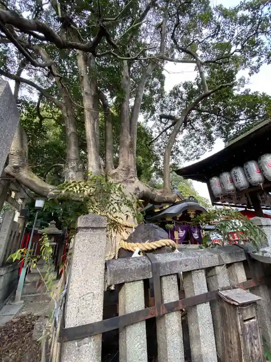 満足稲荷神社の自然