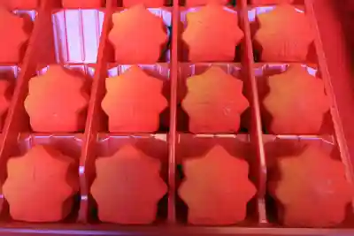 土津神社｜こどもと出世の神さまのおみくじ